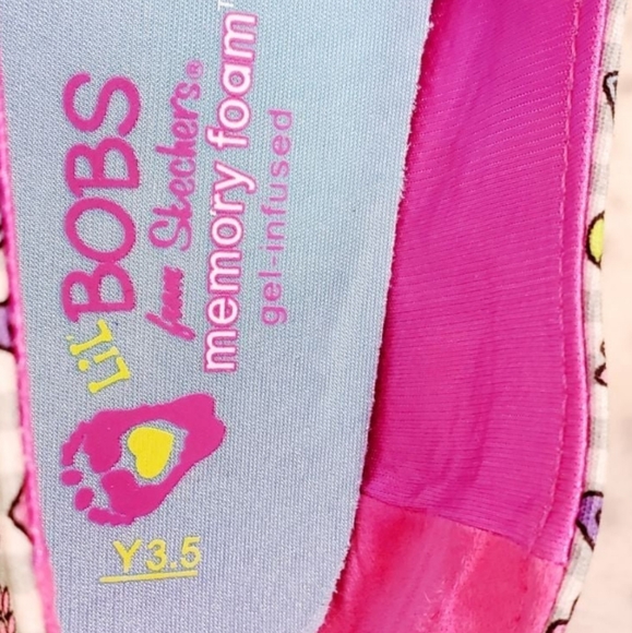 Bob's Boston terrier/French bulldog  Skechers - Picture 14 of 16